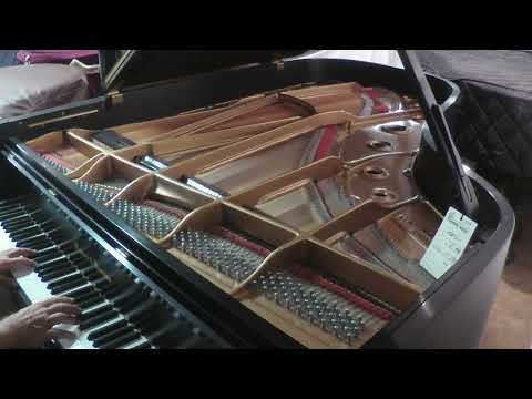 Immagine Majestic Semi-Concert Grand: Mason & Hamlin Model BB - 14