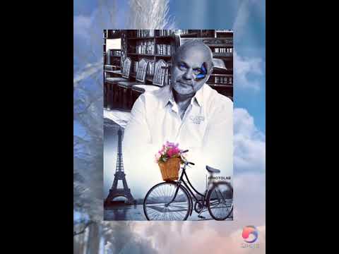 [eden w górę do gwiazd] #popko #lew #świadomości #miłość #radości #siewcykreacjiedenu