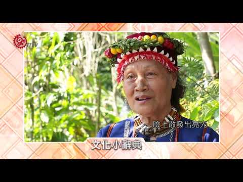 黃連木生長速度