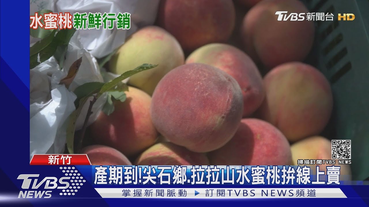 水蜜桃產期來了!尖石鄉推線上賣 前一百盒有「這優惠」