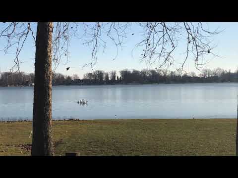 Prepare to Change, Inc. video/presentation/materials