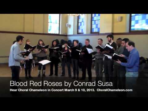 Wide Waters Concert Preview - Choral Chameleon