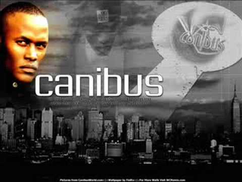 CANIBUS - INFINITY GAUNTLET
