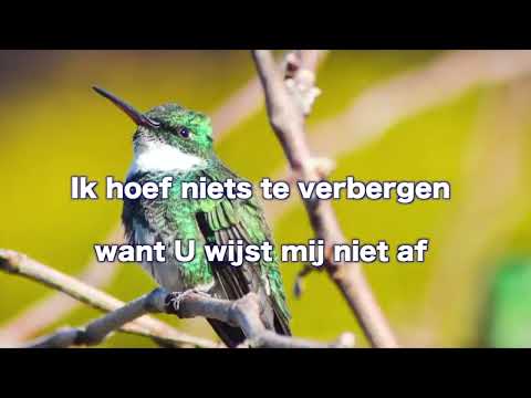 Opwekking 625 Wat een liefde 1B