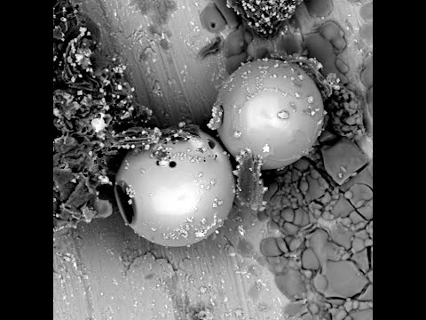 ICCF22 - Slobodan Stankovic