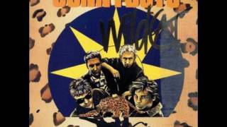 Sunnyboys "Wildcat" 1989 LP