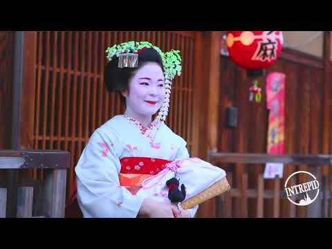 Intrepid Travel   Japan Highlights and Curated Escapes