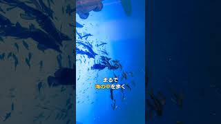 VRChat名作ワールド紹介「AQUARIUS」#vrchat  #shorts