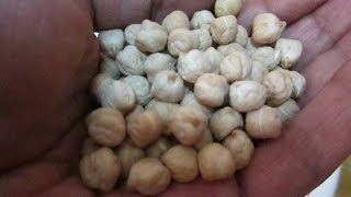 COMO CALCULAR LAS LEGUMBRES POR PERSONA PARA COCINAR GARBANZOS