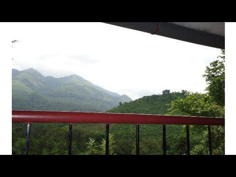 Planet Green Resort In Wayanad | jabeen vlogs