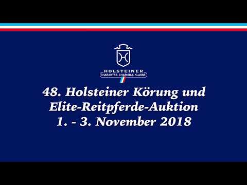 Holsteiner Körlot 2018 | Nr. 2 - DERRICK v. Dinken - Aljano