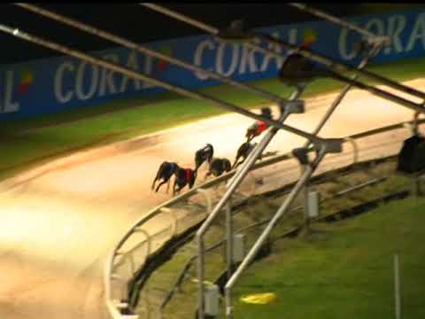 2017 CORAL OLYMPIC - 1ST SEMI - T2 BRUISERS BULLET