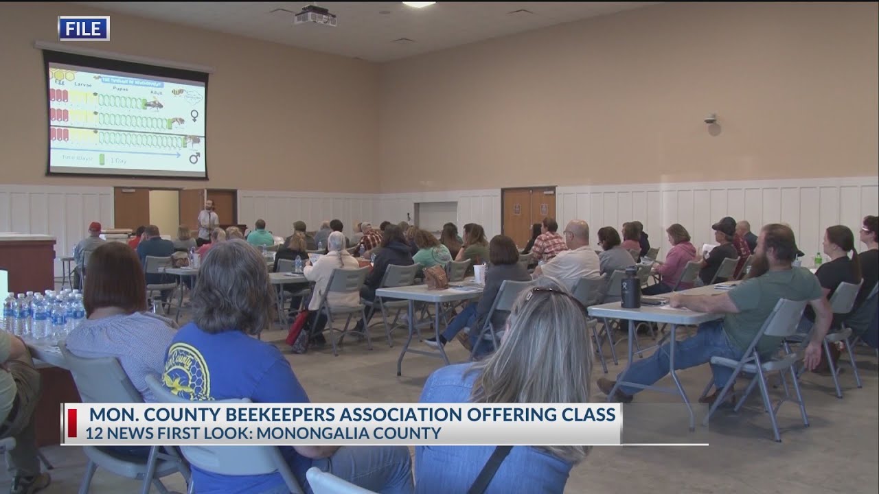 Beginner beekeeping classes to be offered in Morgantown