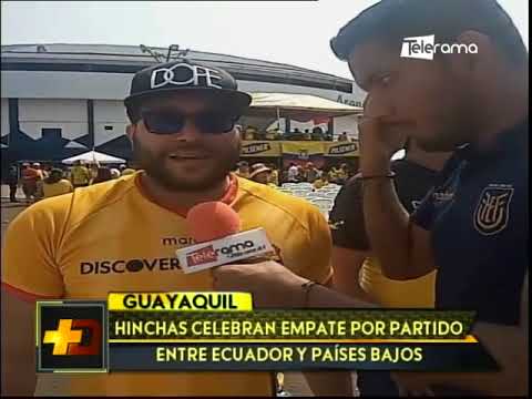 Hinchas celebran empate por partido entre Ecuador y Países Bajos