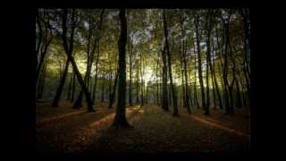 Adorned Brood - Adora