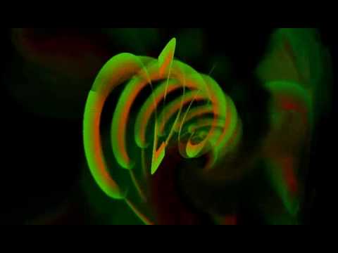 Miss Kitten & Golden boy- Rippen Kitten (Beroshima Mix)