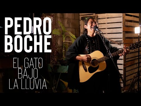 Pedro Boche - El Gato Bajo La Lluvia (cover)