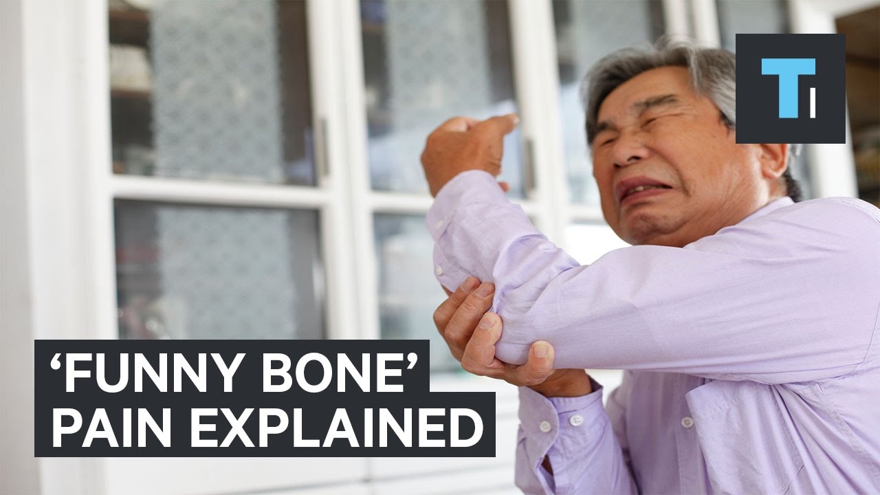 What does it mean when you hit your elbow and it hurts? Any Answer