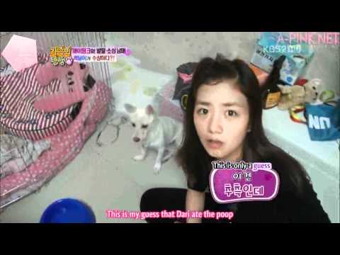 [INSPIRITSUBS] 111203 KBS Birth of a Family - Infinite & A-PINK Cuts [4/4]