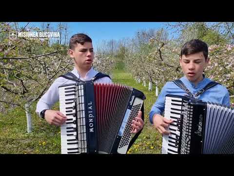 N-ar fi frumoasă primăvara...☀️ - Frații Padurariu