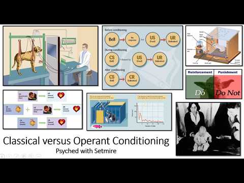 Classical vs Operant Conditioning (Key Differences) | Psyched with Setmire