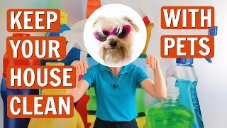How to Keep Your House Clean with Pets!