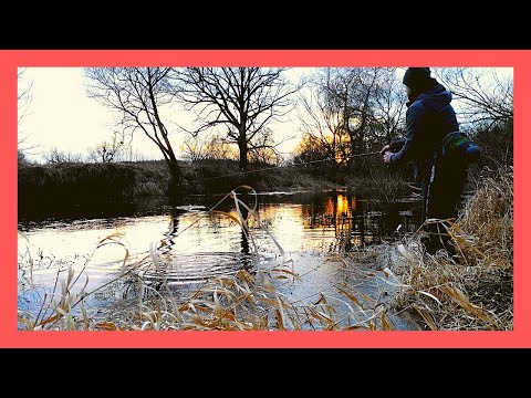 W Poszukiwaniu Troci | walczymy do samego końca... TROĆ 2022