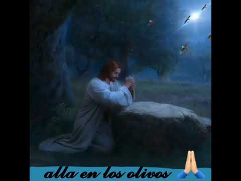 Allá En Los Olivos video