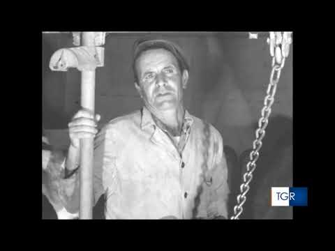 Poggio Sannita   Uno per tutti, tutti per una cooperativa [TGR]