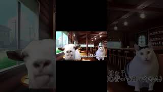 近場でバンドを組もうとした話【猫ミーム】 #猫ミーム #猫ミーム日常#バンド#shorts#shortvideo