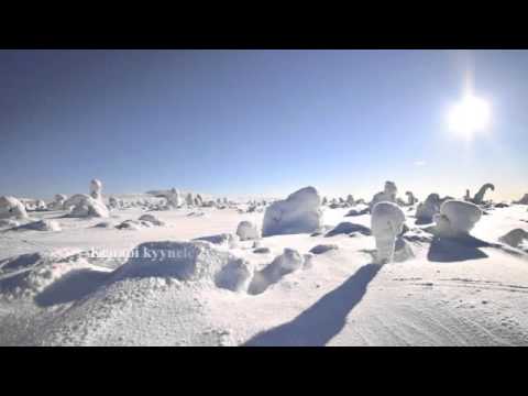 Taivas Sylissäni - Joel Hallikainen