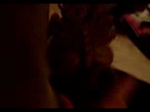 face hugger not included