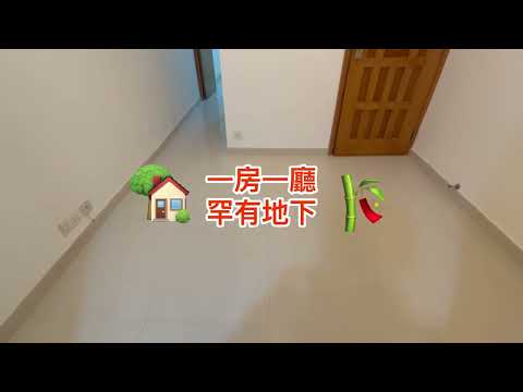 Village Youtube Video