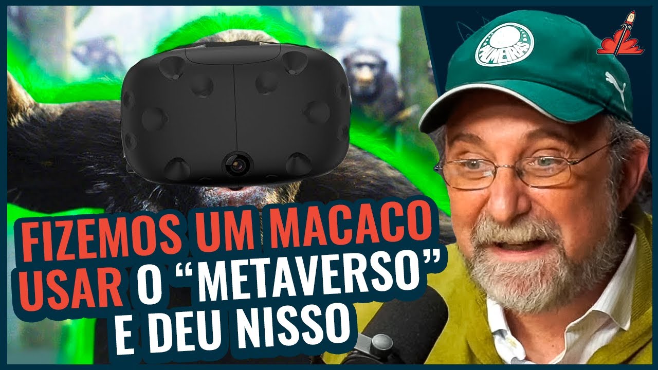 METAVERSO e a VIDA REAL