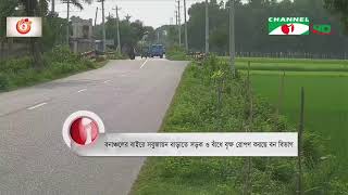 সবুজায়ন বাড়াতে সড়ক ও বাঁধে গাছ রোপণ করছে বন বিভাগ