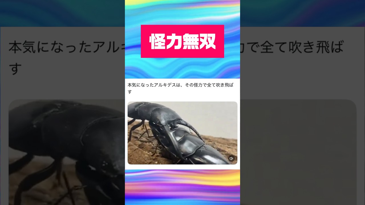 最強怪力クワガタムシ　アルキデスヒラタクワガタ　#shortvideo