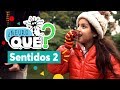 Neuroqué Sentidos 2 Pakapaka