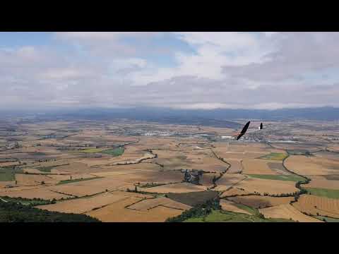 Fernando Moro - Practice (Vitoria F3F 2017 FAI worldcup)