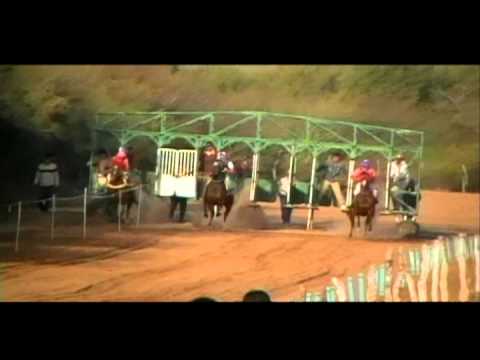 CHEPES TURF DESPRECIADO TACAYAMA PITUCA