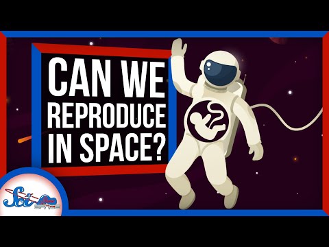 宇宙で妊娠できるかな？ (Could You Get Pregnant in Space?)