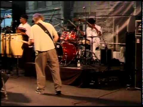 Blues Festival 2010 - Paul Cebar - Song 9