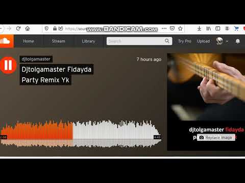 Djtolgamaster Fidayda Party Remix YURTSEVEN KARDEŞLER