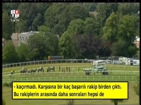 Sea the Stars - Türkçe