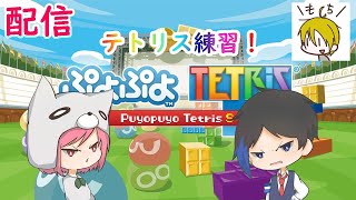 ぷよテト配信【ぷよぷよテトリス】