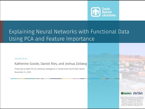 AAAI FSS-20 Talk: Explaining Neural Networks with Functional Data Using PCA and Feature Importance