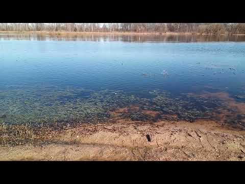 The Berezina River by Babruysk, Belarus❤️🇧🇾 Friday, International Women's Day, 2024