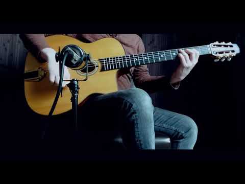 Melodium Melodynamic 55A french vintage mic demo by @A.Lautner