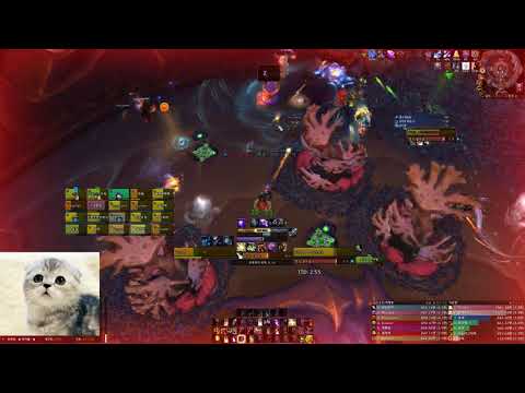 The Eternal Palace Mythic: Lady Ashvane (balance druid POV)