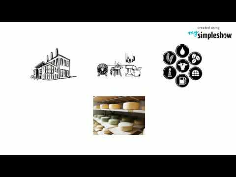 die drei Wirtschaftssektoren von Theo, Tim, Fridtjof, Connor und Elias