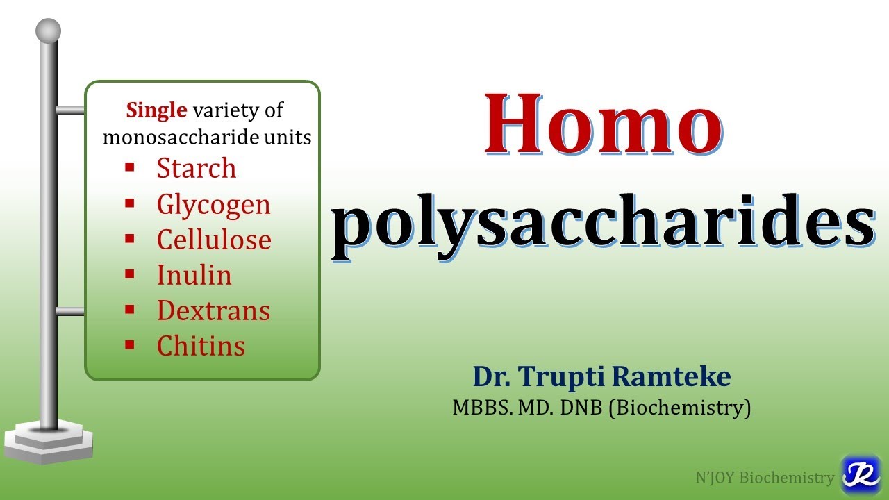 5: Homopolysaccharides | carbohydrates Chemistry | Biochemistry | N'JOY Biochemistry